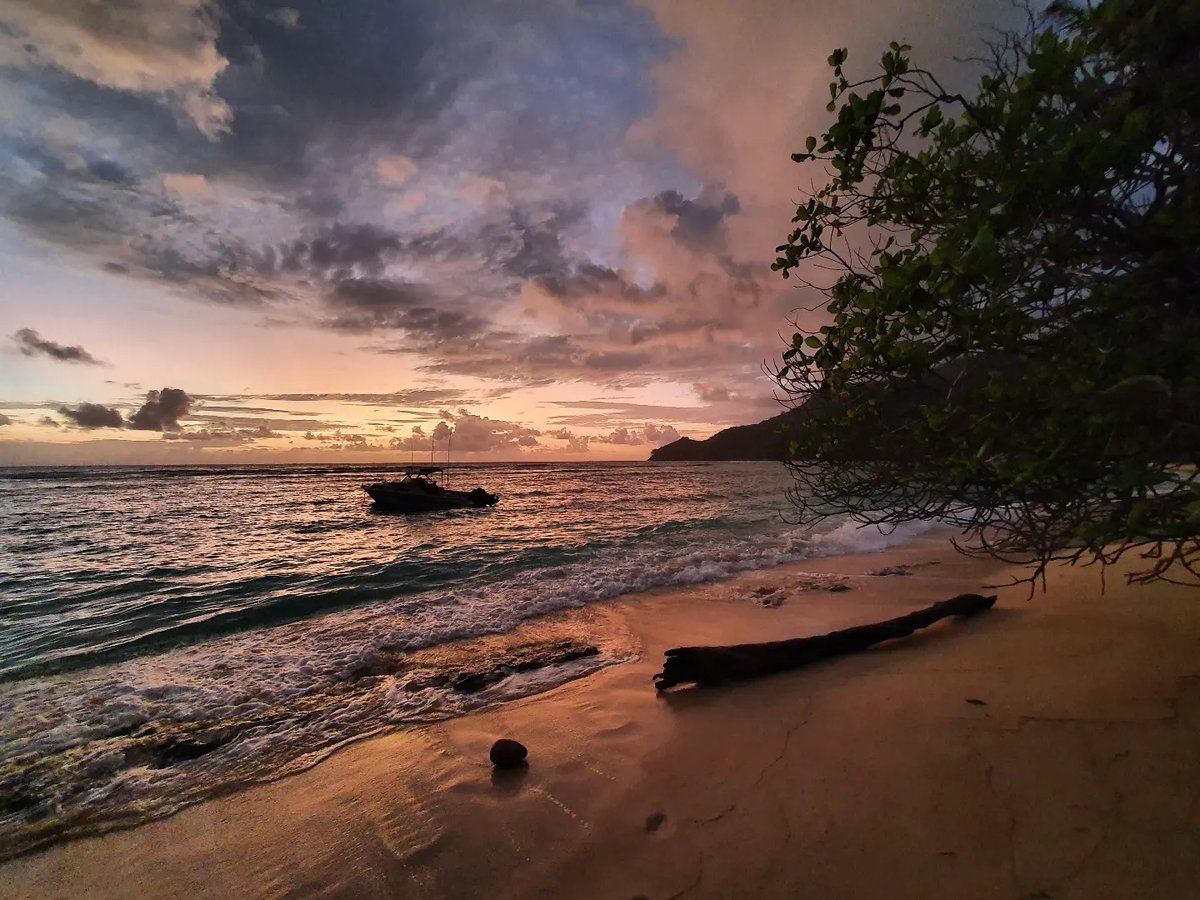 minayuji's tweet photo. #paradise #sunrise #sunriselovers #sunrisephotography #sundown #sunrisesky #sunrisebeach #sunrisegram #sunrisecolors #sunrisehunter #photooftheday #sunriseoftheday #mahe #seychelles #seychellen #igsunrise #fotooftheday #bestvacations #worldplaces https://t.co/qpjx4ZOtCg