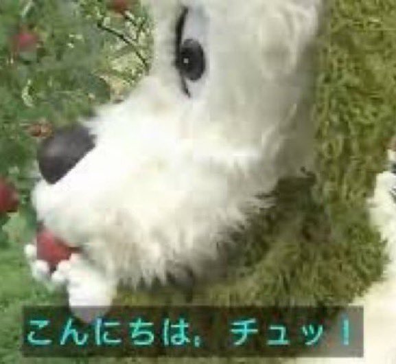 az9926's tweet photo. うちにキルゴンぬい来てこれ https://t.co/hUST8U8rGx