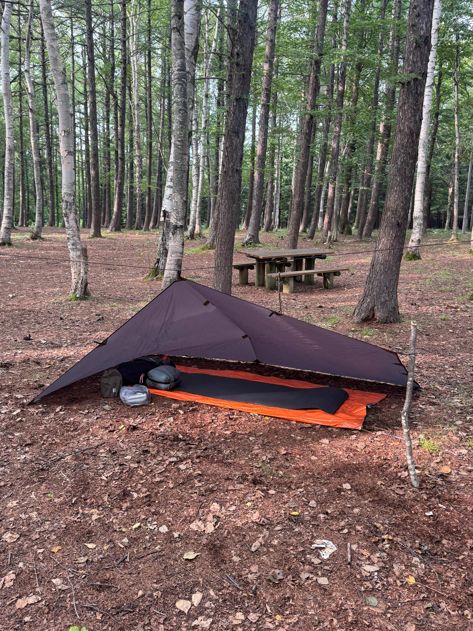 HIIRAGI OUTFITTERS (@HIIRAGI_CAMP) / X
