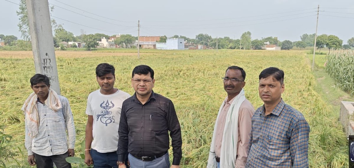 Dm_Aligarh's tweet photo. अतिवृष्टि से प्रभावित फसलों का सर्वेक्षण प्राथमिकता पर कराया जा रह�� है। संबंधित अधिकारियों को निर्देशित किया गया है कि प्रत्येक प्रभावित क्षेत्र का निष्पक्ष एवं पारदर्शी स्थलीय आंकलन सुनिश्चित करें, कोई भी पात्र किसान सर्वेक्षण से वंचित न रहे। प्रभावित किसानों को शासन के निर्धारित मानकों के अनुरूप यथाशीघ्र राहत उपलब्ध कराई जाएगी।