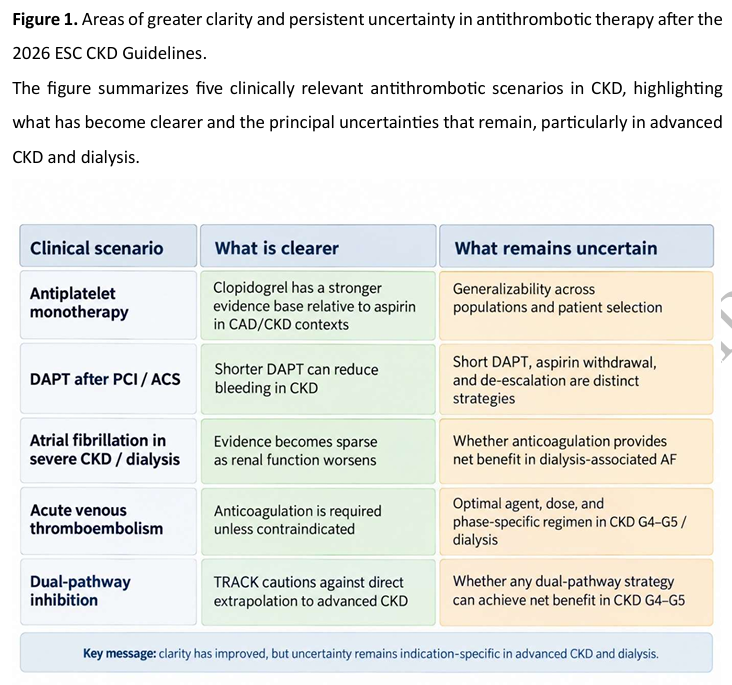 NDTsocial's tweet photo. Antithrombotic therapy in CKD after the 2026 ESC guidelines: clarity versus certainty

https://t.co/KPaAjzrLMC https://t.co/vaAO6Sghhu