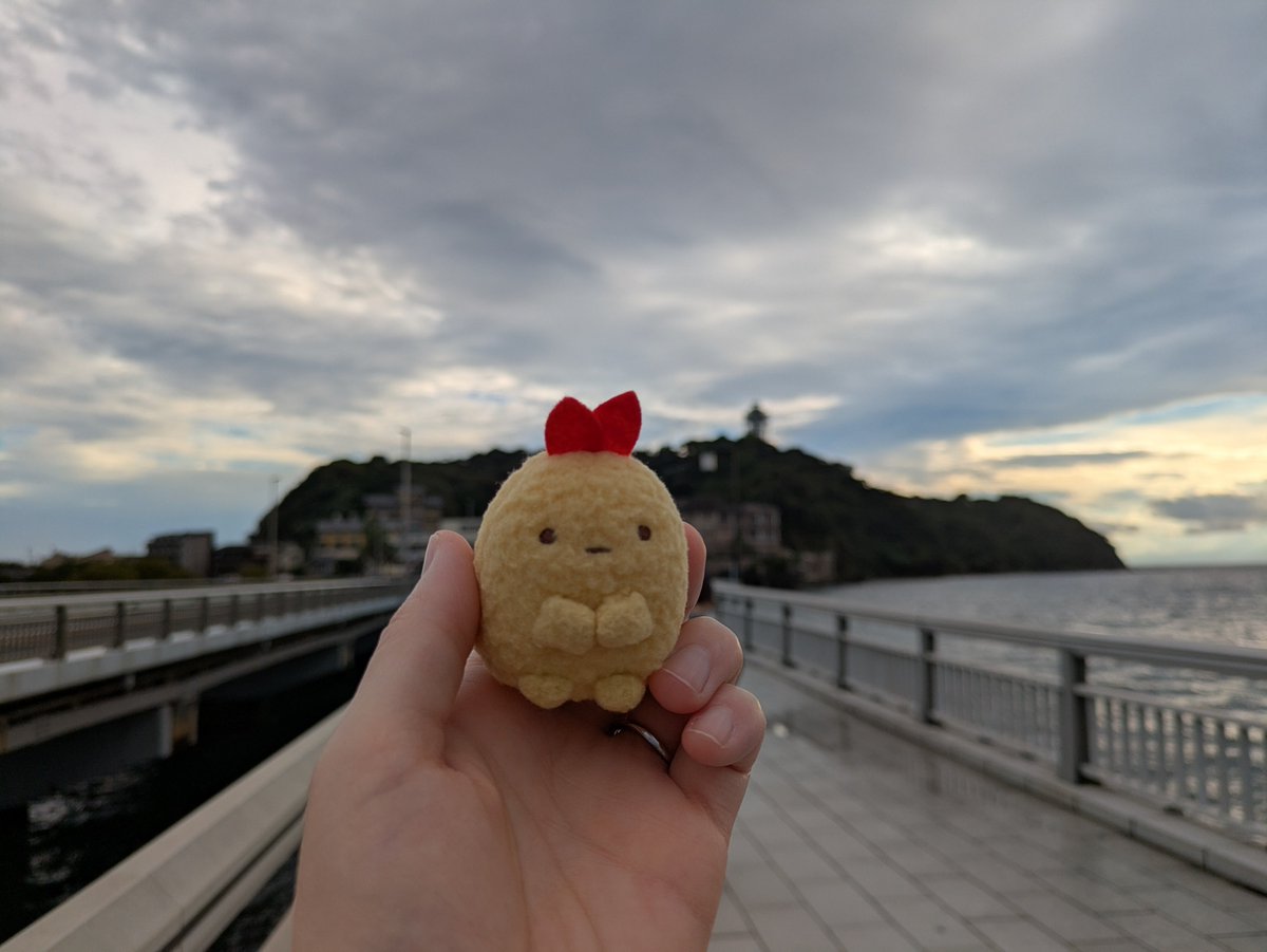 asuka5wty's tweet photo. えび in 江の島 https://t.co/7mKiWgpMeY