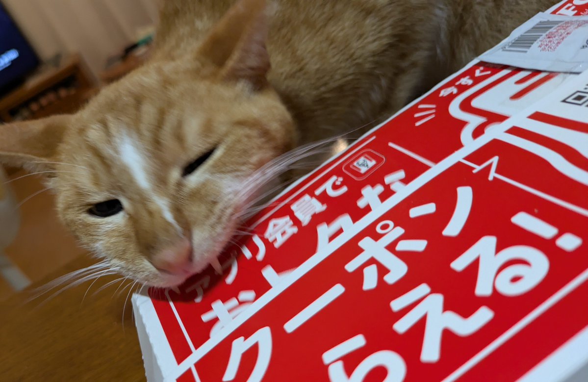 hauchan39's tweet photo. とりの日パック買っちゃった
だって残業して疲れたんやもん https://t.co/rzqPayvcai