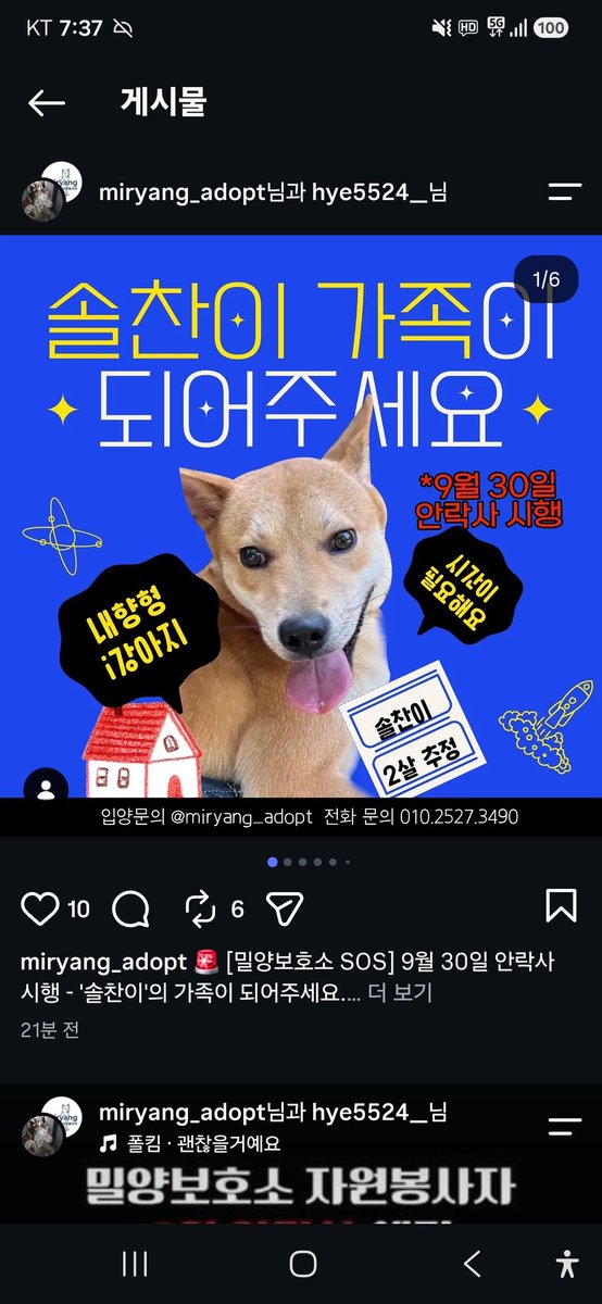 animalrtaccount's tweet photo. 입양문의: 010.2527.3490
9/30 밀양시안락사
솔찬
https://t.co/qGb9UNwqWS https://t.co/BE5jHI0ew6