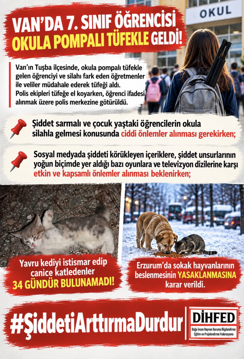 sevinccalisir's tweet photo. Şiddetin durdurulmadı beklenirken!!!

📌 VAN’DA 7. SINIF ÖĞRENCİSİ OKULA POMPALI TÜFEKLE GELDİ!

📌 YAVRU KEDİYİ İSTİSMAR EDİP CANİCE KATLEDENLER 34 GÜNDÜR BULUNAMADI!

📌 ERZURUM’DA SOKAK HAYVANLARININ BESLENMESİNİN YASAKLANMASINA KARAR VERİLDİ.

#ŞiddetiArttırmaDurdur https://t.co/C0PBUZbiXo