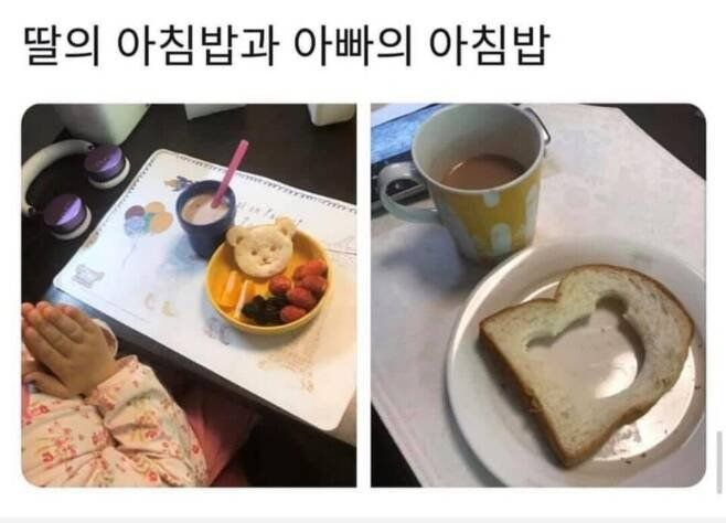 AppleMango0909's tweet photo. 이걸로 드림2세랑 드림캐 주시죠 https://t.co/jc2AEyS7iB