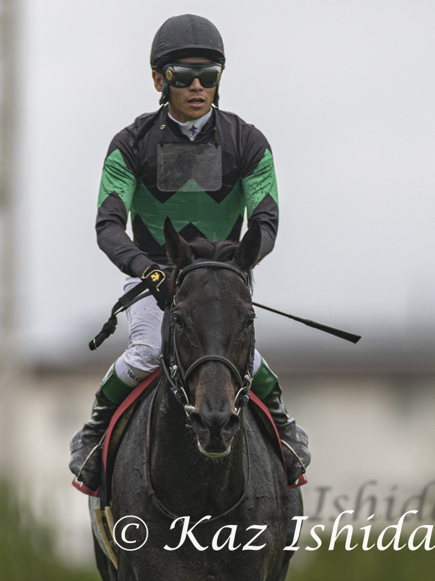 HimawariKaz's tweet photo. ディープモンスター
(2025年 京都大賞典)

Deep Monster,a dual Gr. stakes winner
(photo:2025 Kyoto Daishoten (Gr.2) ) https://t.co/P97h0Cg4Vc