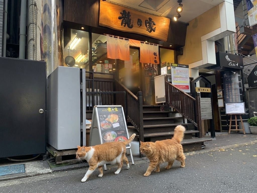 hidechan0068's tweet photo. @cat_Miroku369 以前画像も失礼しました https://t.co/BxzTnXlNbS
