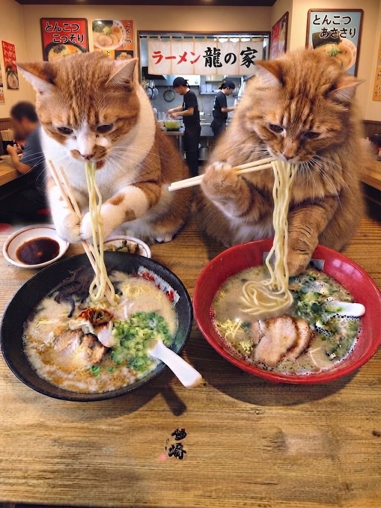 hidechan0068's tweet photo. @cat_Miroku369 以前画像も失礼しました https://t.co/BxzTnXlNbS