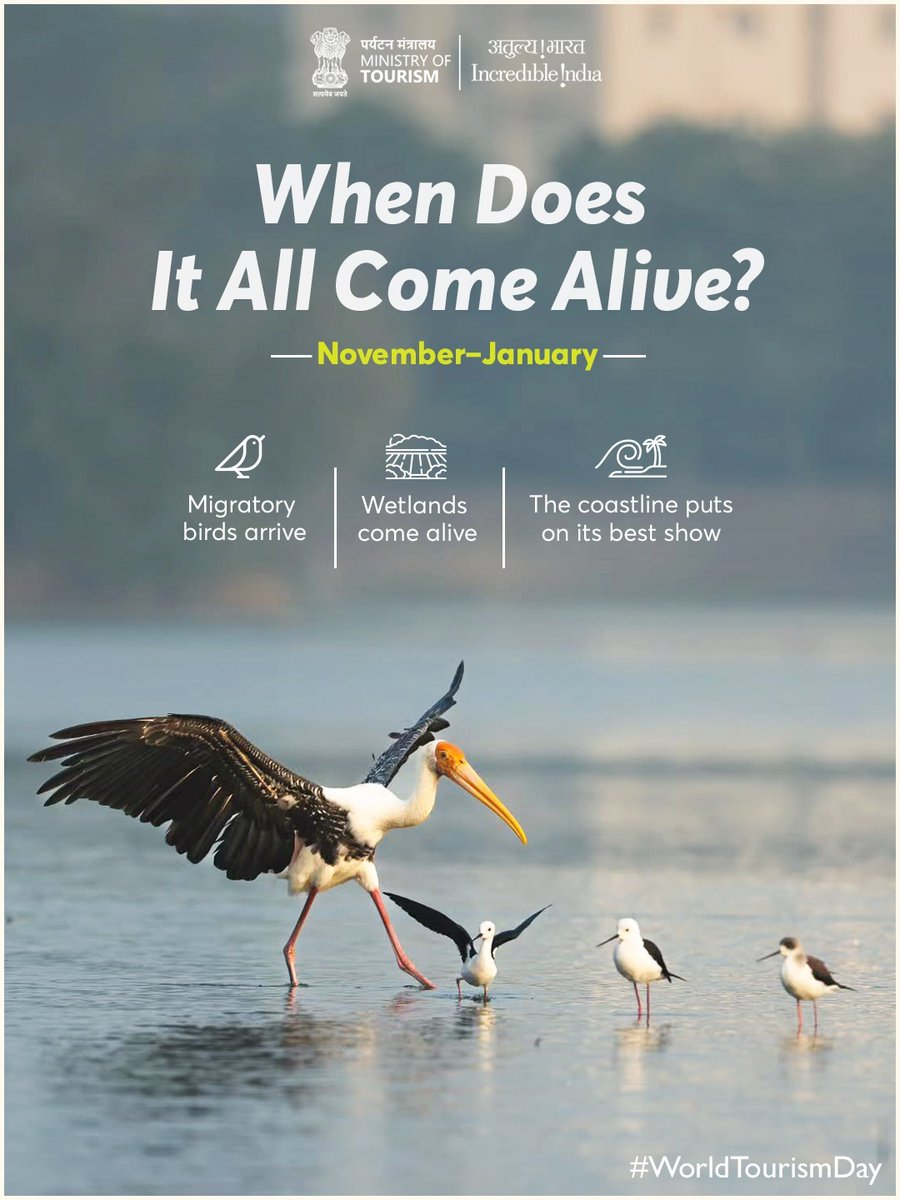 tourismgoi's tweet photo. Ever wondered where the coastline takes a different turn?

At Point Calimere, the shores of Tamil Nadu open into wetlands &amp; salt marshes, where migratory birds arrive along the Central Asian Flyway.

#IncredibleIndia #TamilNadu #PointCalimere #Tourism #WorldTourismDay
1/2 https://t.co/2NyEG6gKvE