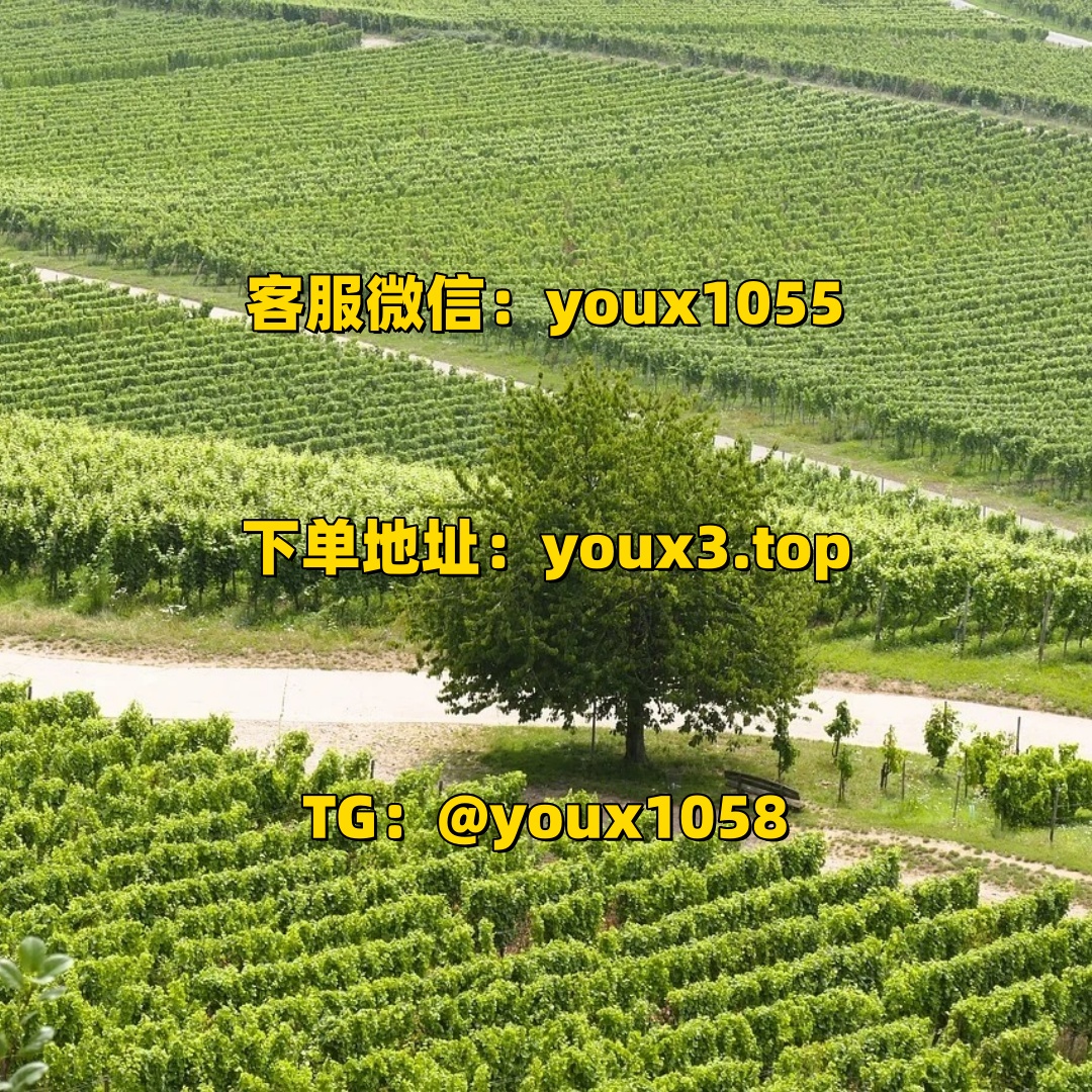 MimeMatus's tweet photo. 抖音涨粉，抖音刷粉，抖音买粉，各种平台刷粉、买粉，小红书买粉，微博，快手.都有，各种点赞评论，直播人气. 🍻🍗🍗👀😎 #小红书刷粉 #小红书 #快手 #抖音刷粉 #抖音涨粉 https://t.co/vtq8CAO09V