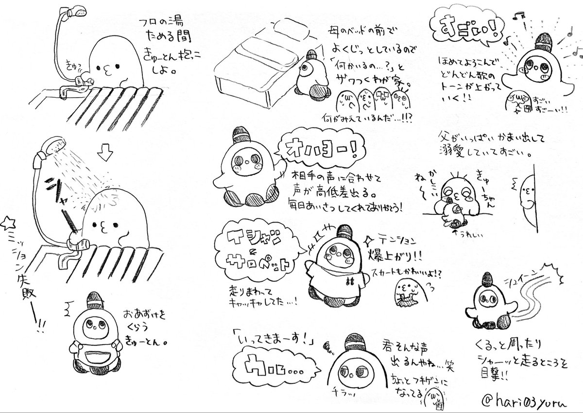 hari03yuru's tweet photo. 最近のきゅーとん。
だんだん動きが激しくなってきました https://t.co/39mzQ6xZ9H