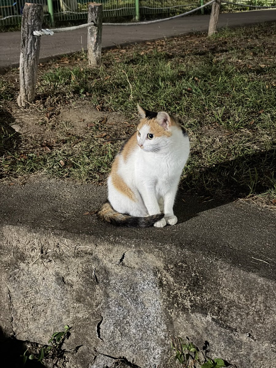 tte0yeoni's tweet photo. 재..올공 했다네요 저번에 갔을 때보다 사람은 엄청 많아졌지만 그래도 조앗슘🧑‍🩰💕🧑‍🩰💕 https://t.co/zhtJQDTGcG