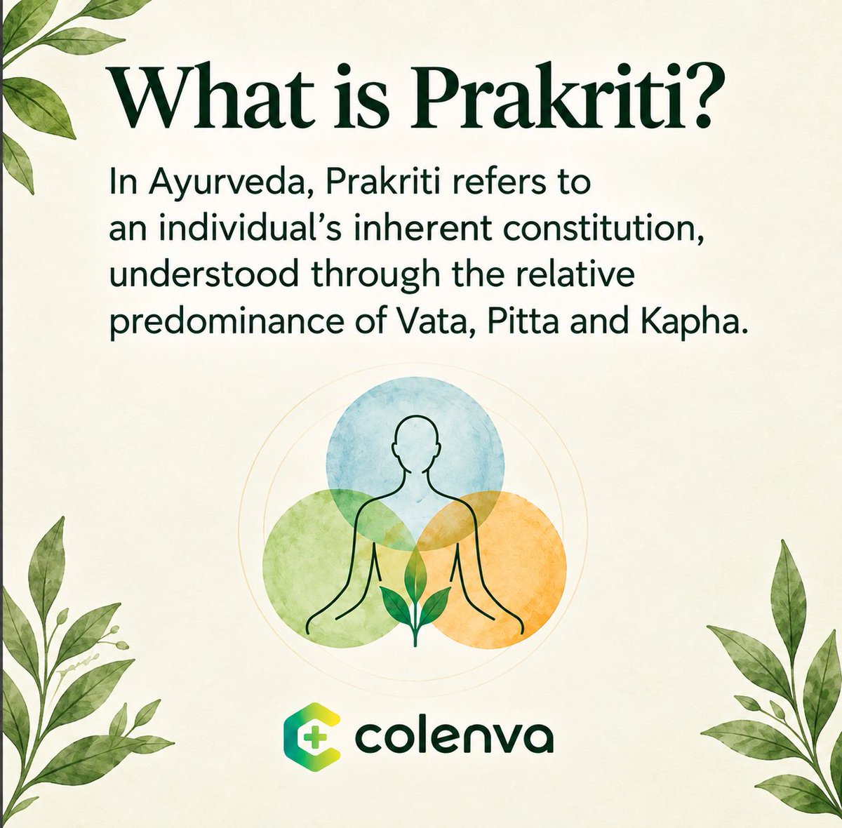 colenvaglobal's tweet photo. You were never meant to fit into one box. 🌿

Your Prakriti is your unique Ayurvedic constitution — a reflection of your natural balance.

Discover a more personalised approach to health with Colenva — your global integrated health ecosystem 

#Colenva #Ayurveda https://t.co/MUmj8uISF2