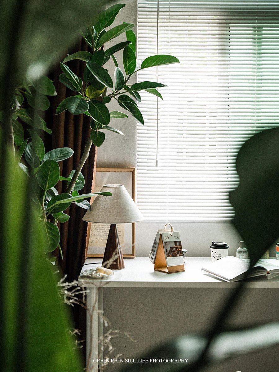 tide_keith_33's tweet photo. Transform your desk into a focused work hub with this small tweak — a potted succulent + a neat cable organizer. Boosts productivity and vibe in 2 minutes! https://t.co/28fAxP60i9