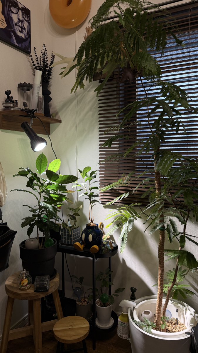 king_blog05's tweet photo. 好きと便利と遊び心が共存する部屋にしたい https://t.co/9K5tv3Ef5K