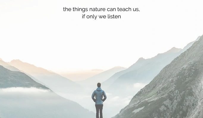 CrackHermisplt's tweet photo. Funny thing is, a lone tree spills over, like it ain't in a hurry. Old thoughts travel light. https://t.co/XtEOKBzrH2