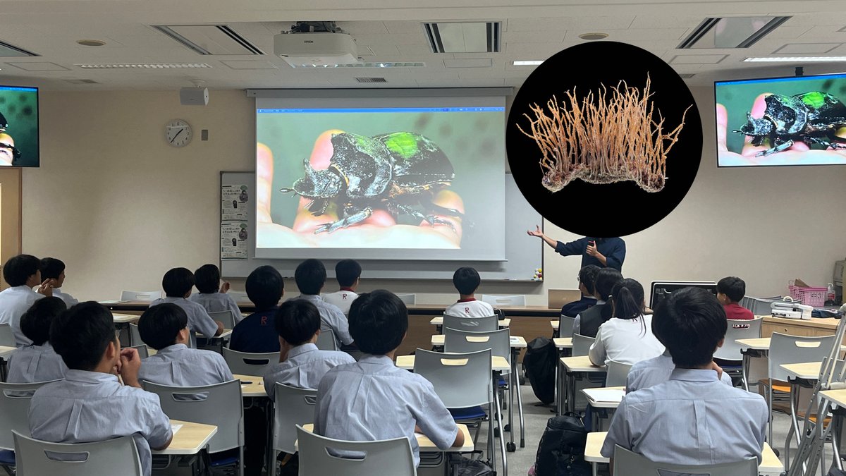 UgomekiMushi's tweet photo. 立命館宇治中学・高校で課外活動の講師をさせていただきました！
こういうお仕事は初めてだったので不安もありましたが、学生のリアクションがとても良くて、ホームな雰囲気で楽しくさせていただいて感謝しかないです…。 https://t.co/qnwmHbNgwf