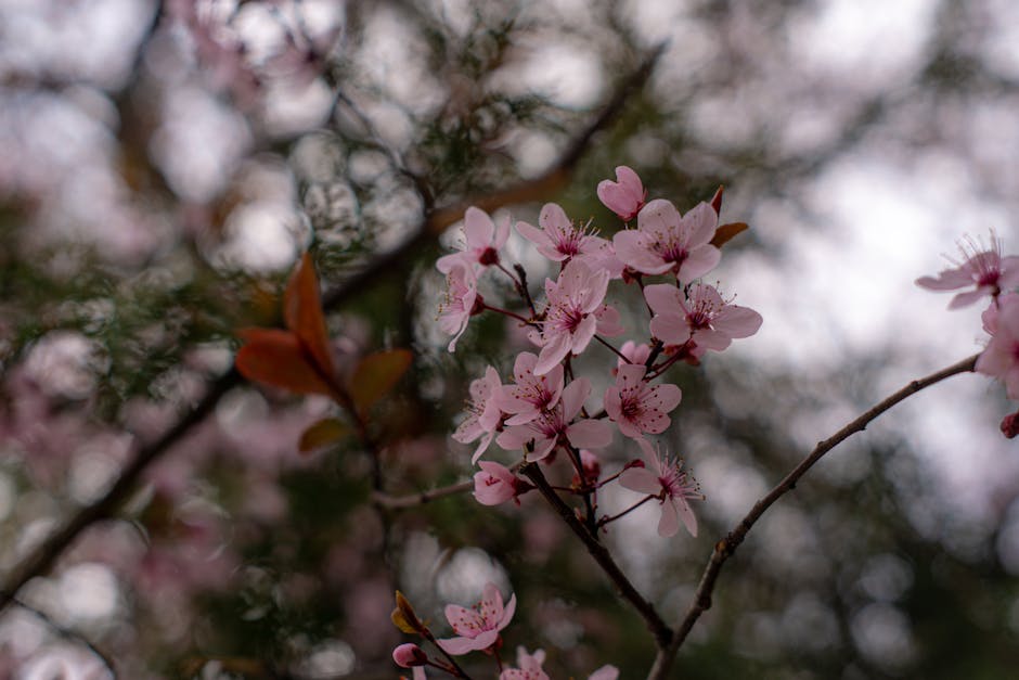 vickiewieg5br's tweet photo. أنا ممتن التي شاركتها. جوهرة للمعرفة مقالك حقيقية. twanna gitto🔇 https://t.co/FoS0MOXUdp