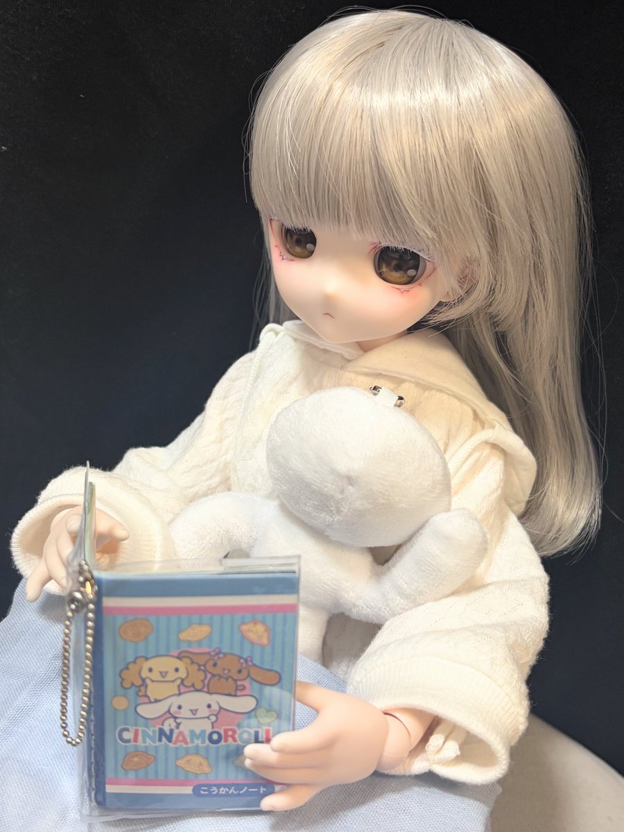 salttablets626's tweet photo. 抱き枕と読書（？）
#MDDはいいぞ
#うちのこかわいい
#ドール https://t.co/RuycDw4QbH