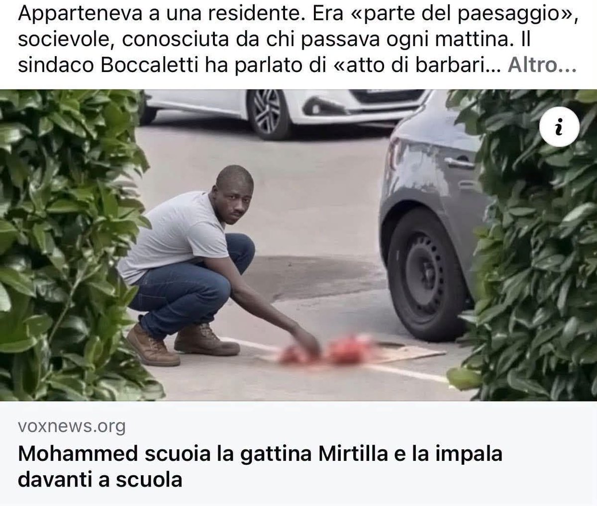 CionciAndrea's tweet photo. FUORI TUTTI https://t.co/nSrnI9dyGW