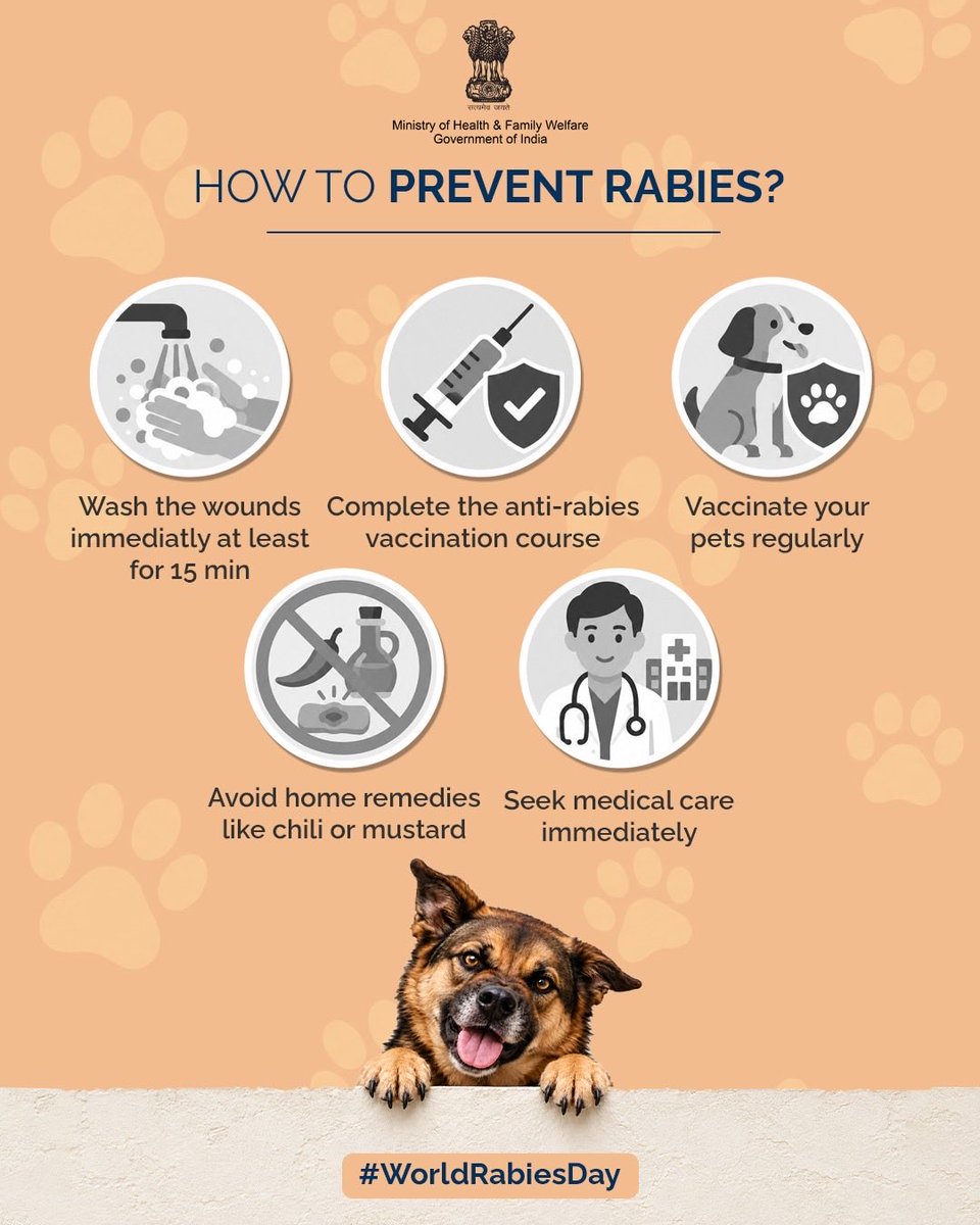 MoHFW_INDIA's tweet photo. Rabies prevention begins with timely action.

Following the right steps after an animal bite or scratch and seeking prompt medical care can help prevent rabies.

This World Rabies Day, act early and stay protected.

#StrongerTogether
#WorldRabiesDay https://t.co/HDlWzLVNaL