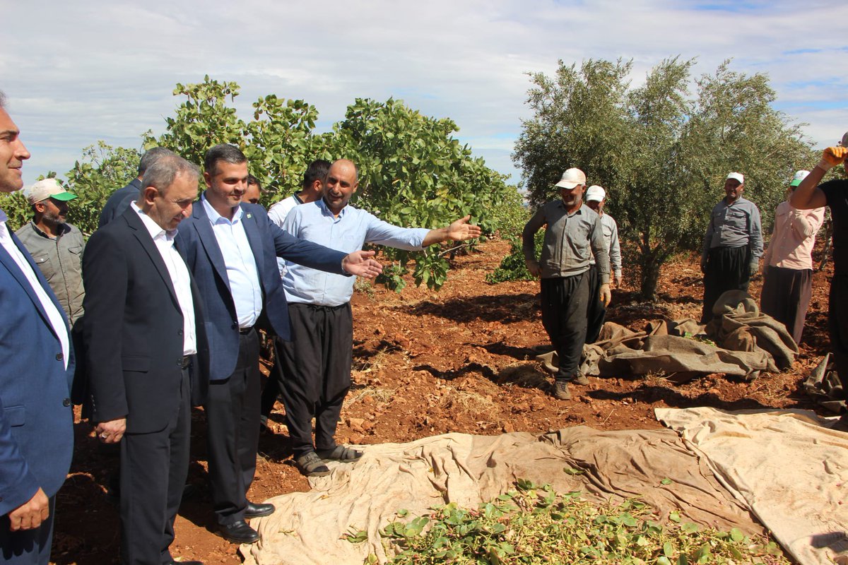 antephudapar's tweet photo. 🌿 Çiftçilerimizin Yanındayız!
HÜDA PAR Gaziantep Milletvekilimiz Sayın  Şahzade Demir, İl Başkanı  Sayın Mustafa Kaya ve beraberindeki heyetle birlikte Nizip'in Boyluca Mahallesi'nde fıstık hasadı yapan vatandaşlarımız ve çiftçilerimizle bir araya geldi.
Ziyarette çiftçilerimizin sorun ve sıkıntıları yerinde dinlenerek, talep ve beklentileri hakkında istişarelerde bulunuldu.
Üreten çiftçimizin emeği, alın teri ve mücadelesi bizim için kıymetlidir.
#HÜDAPAR #Gaziantep #Nizip #şahzadedemir