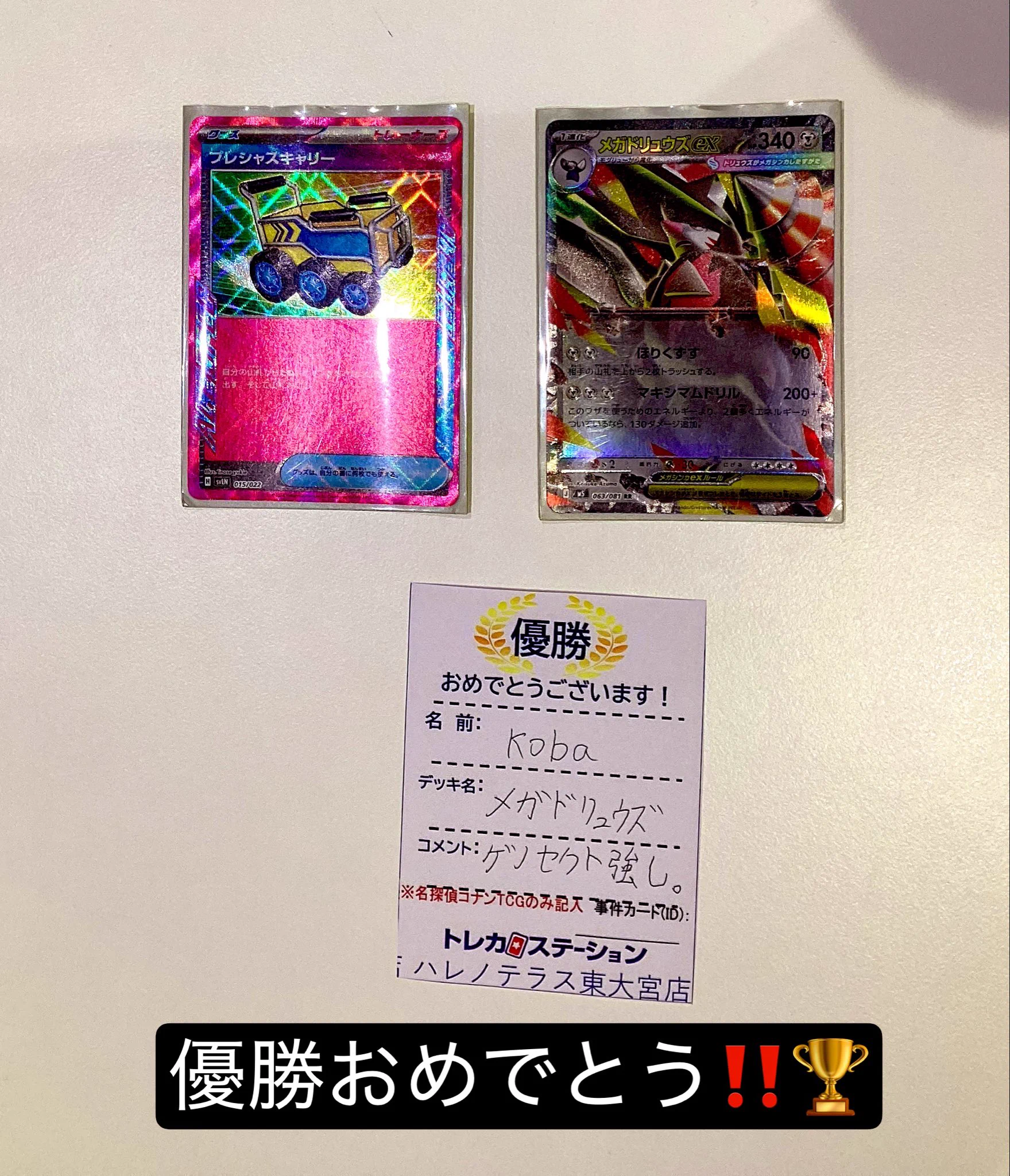 活動歴および当時の関連ビジュアル記録