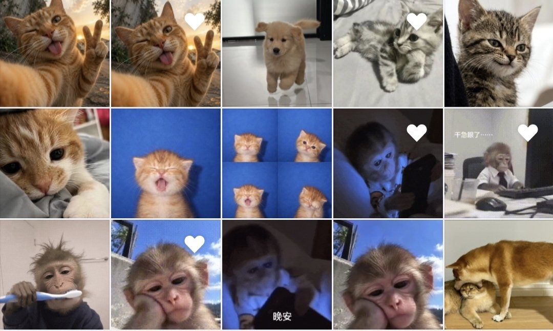 baobao5545's tweet photo. เพราะฉันชอบเซฟ ฉันจึงเก็บรูปลูกแมวไว้เยอะมาก🐱 จริง ๆ แล้วฉันกลัวแมวมาก เพราะเคยถูกแมวข่วนตอนเด็ก เลยกลัวมาก แต่เพราะเซฟ ฉันเลยเริ่มชอบลูกแมว😻🤗😽
#savewrg  
#อู่อู๋เซฟ https://t.co/xRRV5aBVcH