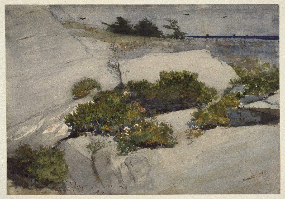 artisthomer's tweet photo. Maine Cliffs #artbots #homer https://t.co/reD4pljTT8