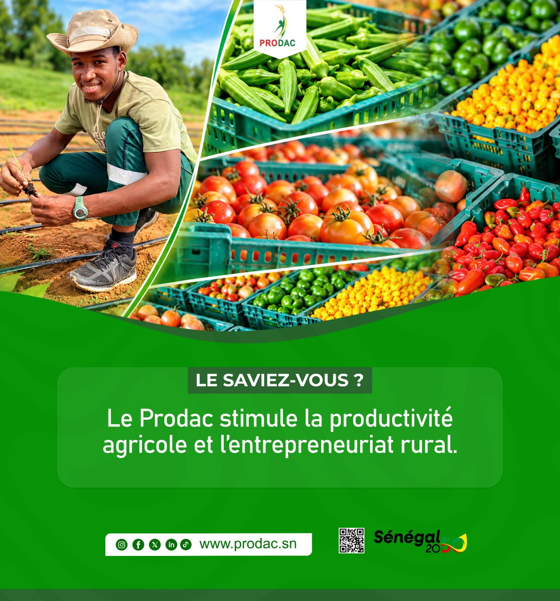 ProdacSenegal's tweet photo. Entreprendre en milieu rural, c’est transformer les ressources locales en opportunités.
Excellente journée à toutes et à tous !
#Prodac https://t.co/LKu2tHOCtz