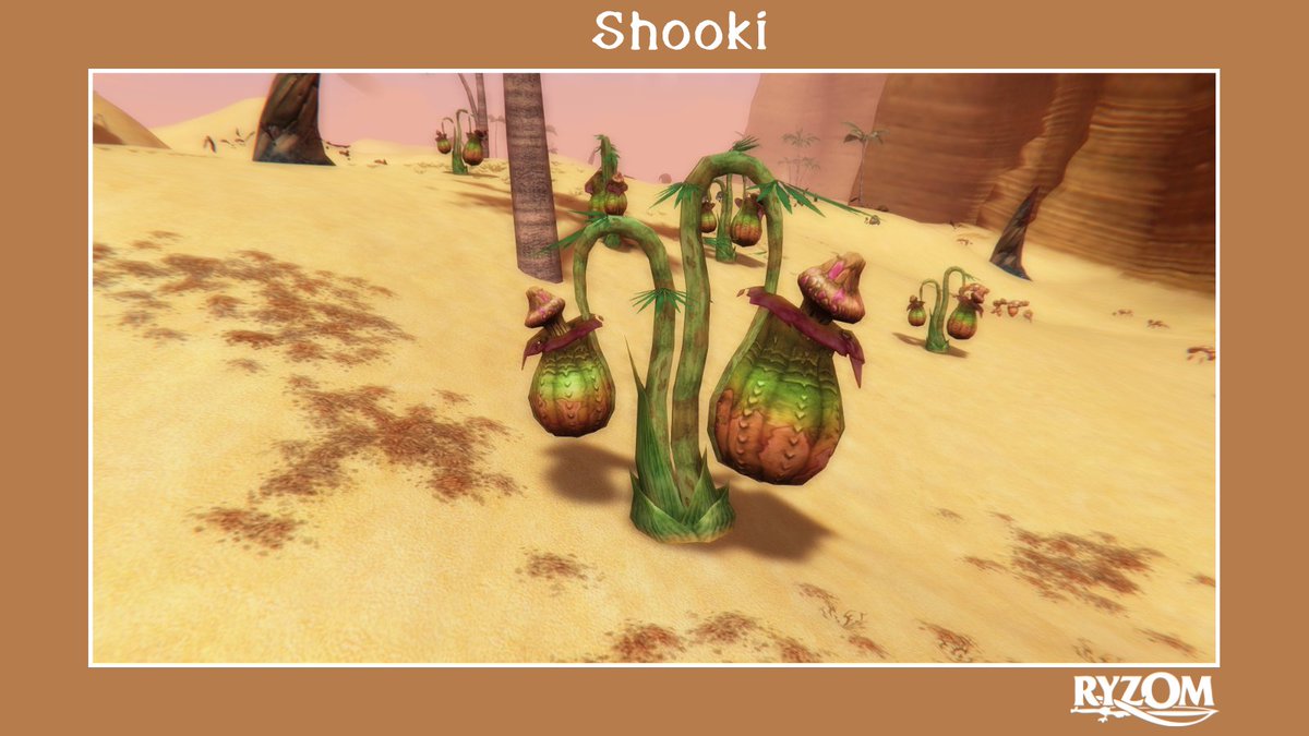 Ryzom's tweet photo. [Nice Image] Shooki

A slender stemmed plant with large palmate leaves found in arid desert areas where it takes on the predominant color of the surrounding landscape.

#ryzom #opensource #indiegame https://t.co/sQFZ3QtdgL