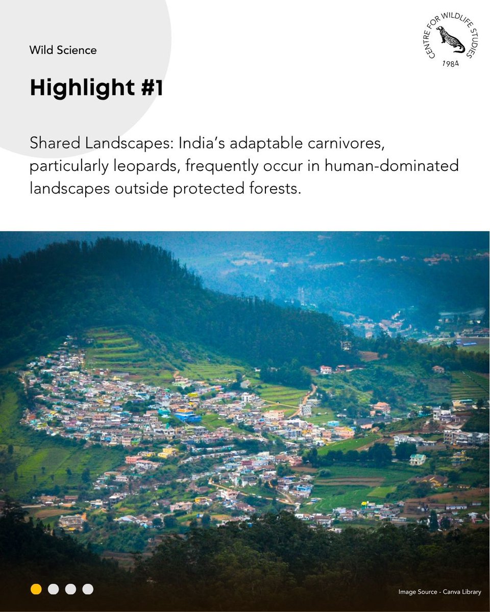 cwsindia's tweet photo. How do leopards and people share space in high-density plantation landscapes? A study on the Valparai plateau explores leopard occurrence, wild prey availability, and human-wildlife conflict patterns. 

Read our latest blog here: https://t.co/dV8xMB1zUw https://t.co/KqsGkMZPCl