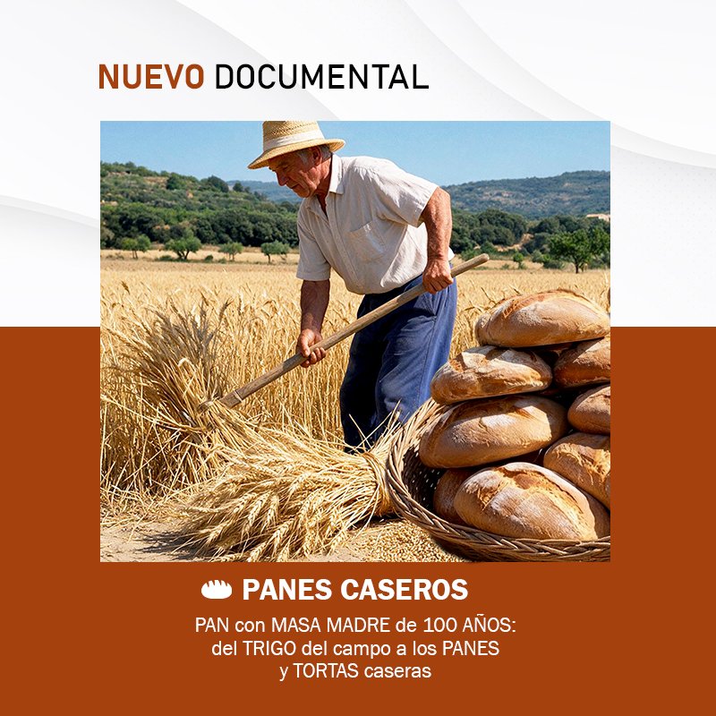 EugenioMonesma's tweet photo. 🔴🎥 ESTRENO | #PAN con MASA MADRE de 100 AÑOS: del #TRIGO del campo a los panes y tortas caseras. #OficiosPerdidos

🕣 HOY a las 20:30h en mi canal de #Youtube: https://t.co/4wT6MW2xvU
 
 ⏲️ Duración: 15 minutos

¡Espero que os guste! 😀 https://t.co/HaFghejiZr