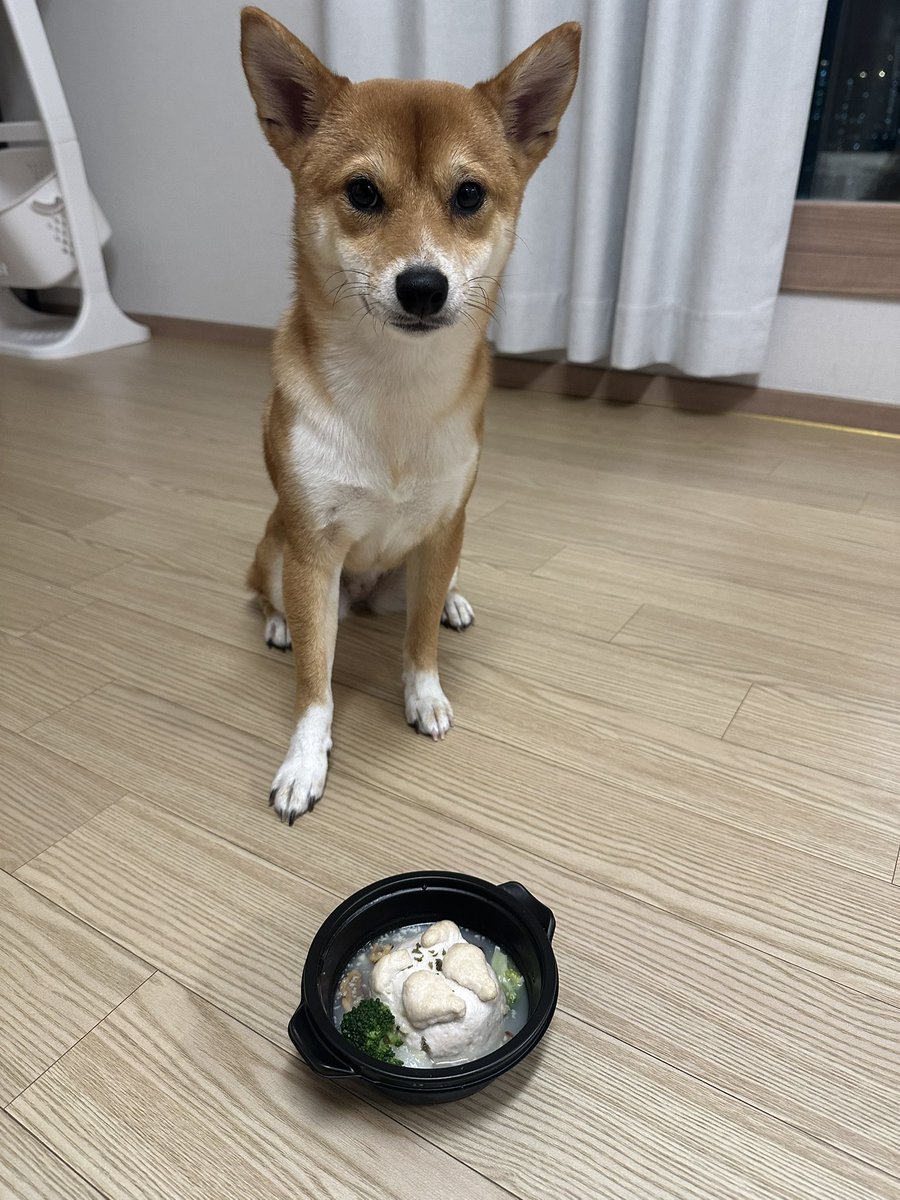 Ras9915's tweet photo. いっぱいいわってくれてありがとうございます！！！こんのけーきはだめでかわりにこれ！ https://t.co/Oi2jvvcfEl