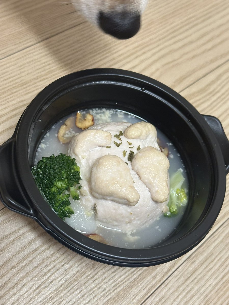 Ras9915's tweet photo. いっぱいいわってくれてありがとうございます！！！こんのけーきはだめでかわりにこれ！ https://t.co/Oi2jvvcfEl
