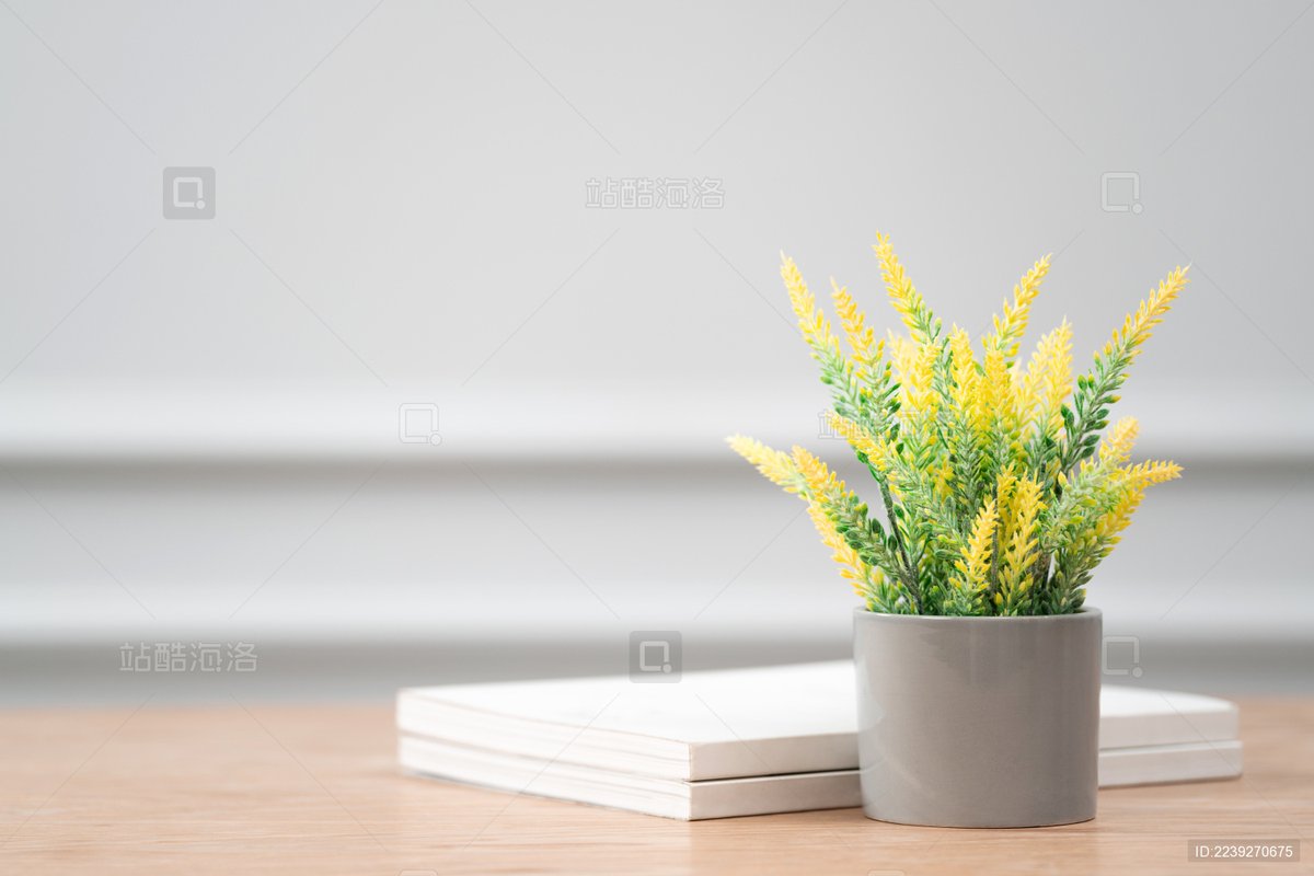 CalistaOvenc's tweet photo. Organiza tu escritorio con poco: solo un organizador compacto y una planta pequea para hacer tu espacio de trabajo más agradable y productivo. Simple y eficaz! https://t.co/VPanxRw8pd