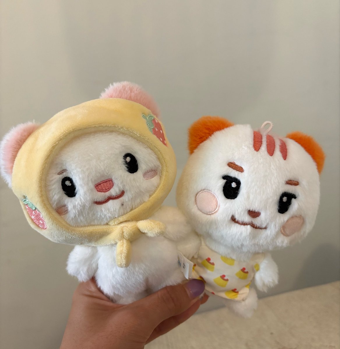 kyungbbi1002's tweet photo. 즐건 인형놀이 ٩(⌯.ᴖᴗᴖ⌯)و 💕 

#TWIMI #TWS #JJOK #HAMTAENGI #DOJUNI #HATPY https://t.co/Bms8oXuetb