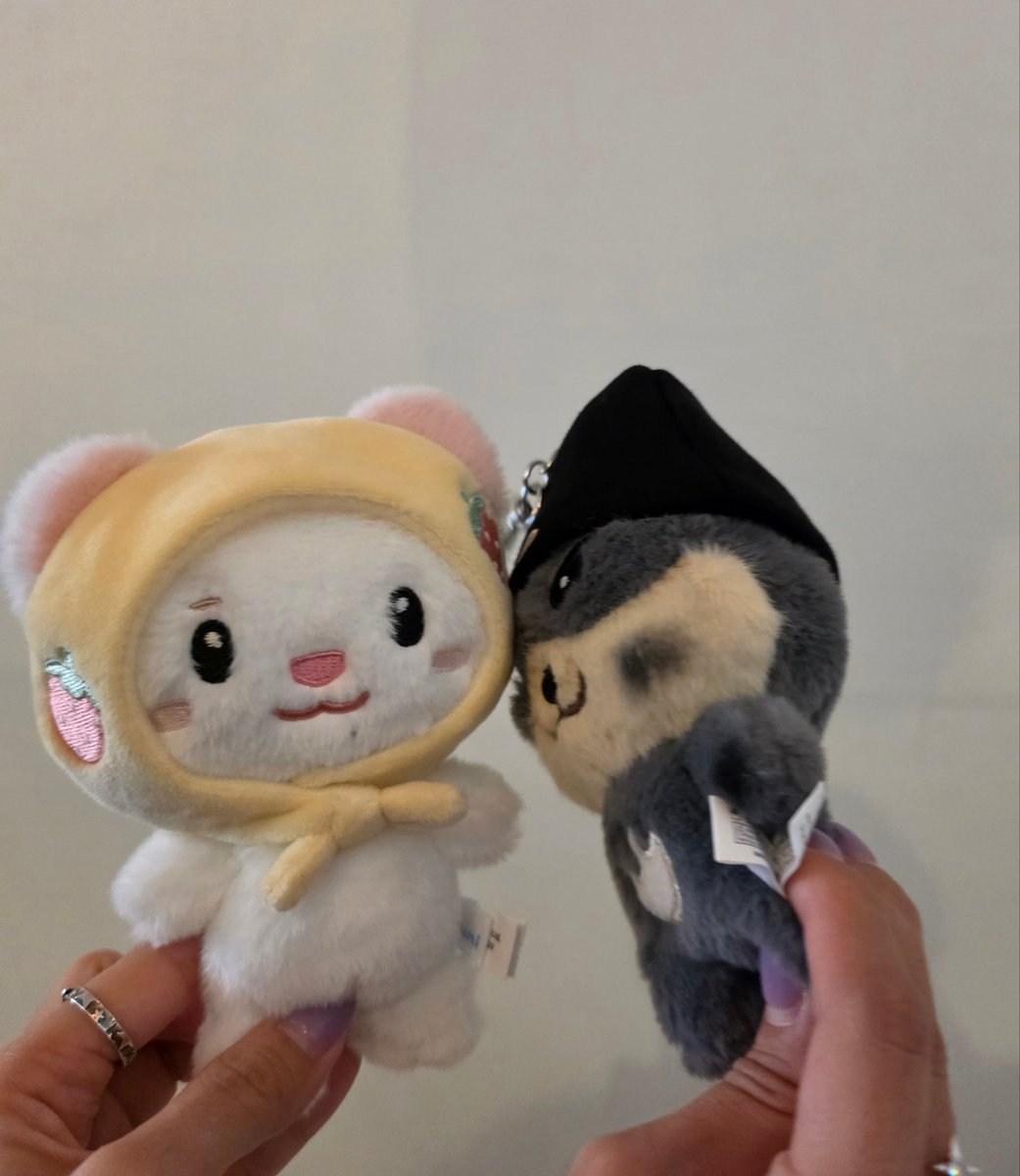 kyungbbi1002's tweet photo. 즐건 인형놀이 ٩(⌯.ᴖᴗᴖ⌯)و 💕 

#TWIMI #TWS #JJOK #HAMTAENGI #DOJUNI #HATPY https://t.co/Bms8oXuetb
