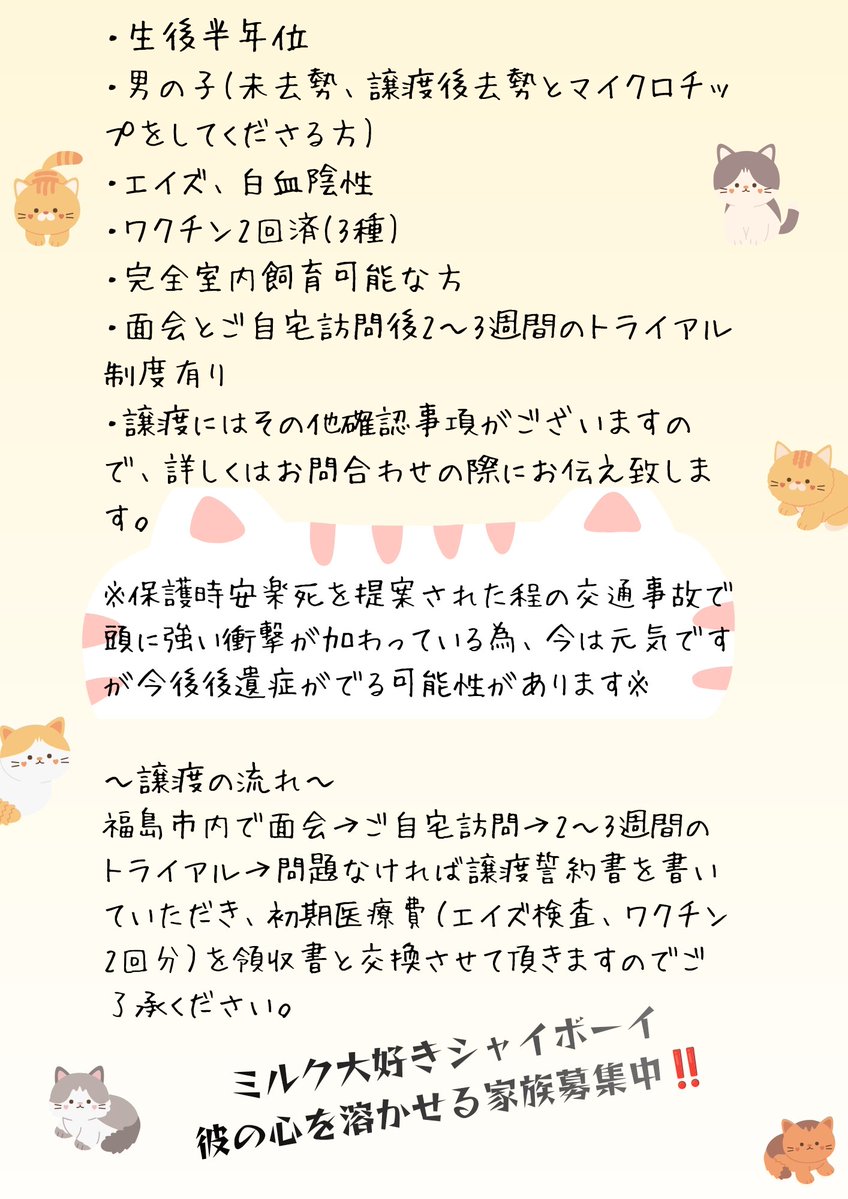 yukito1013dc's tweet photo. 【ねこの里親さん募集🐈‍⬛】
頭撫で撫でのみ大好き、怒り顔もとっても可愛い黒猫くんです✨
ワクチン済み、未去勢(事故の回復を待ってからになります)

譲渡は基本的に福島県内の方対象ですが、県外も検討致しますので御相談下さい。
#猫 #里親募集 #里親 #保護猫 #福島県 #黒猫 https://t.co/a2fv8FHjQi