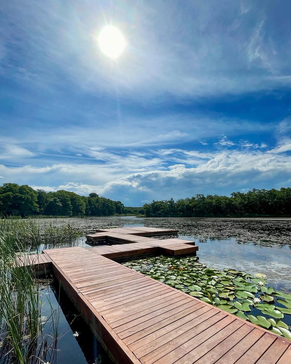 iktm39's tweet photo. Hamam Gölü, yeşilin suya karıştığı sakin manzarasıyla doğanın en güzel sürprizlerinden birini sunuyor. 🌿
Telefonunu sessize al, bu huzurun sesini dinlemeye gel.🍃
@valikirklareli
@ugurturan68
#doğa #rota #hamamgölü #iğneada #kırklareli https://t.co/1XkOr7rElS