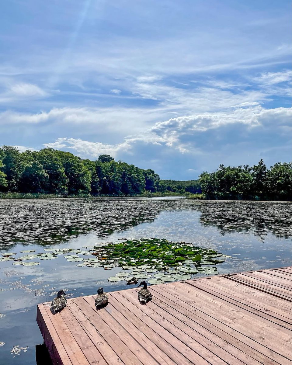 iktm39's tweet photo. Hamam Gölü, yeşilin suya karıştığı sakin manzarasıyla doğanın en güzel sürprizlerinden birini sunuyor. 🌿
Telefonunu sessize al, bu huzurun sesini dinlemeye gel.🍃
@valikirklareli
@ugurturan68
#doğa #rota #hamamgölü #iğneada #kırklareli https://t.co/1XkOr7rElS