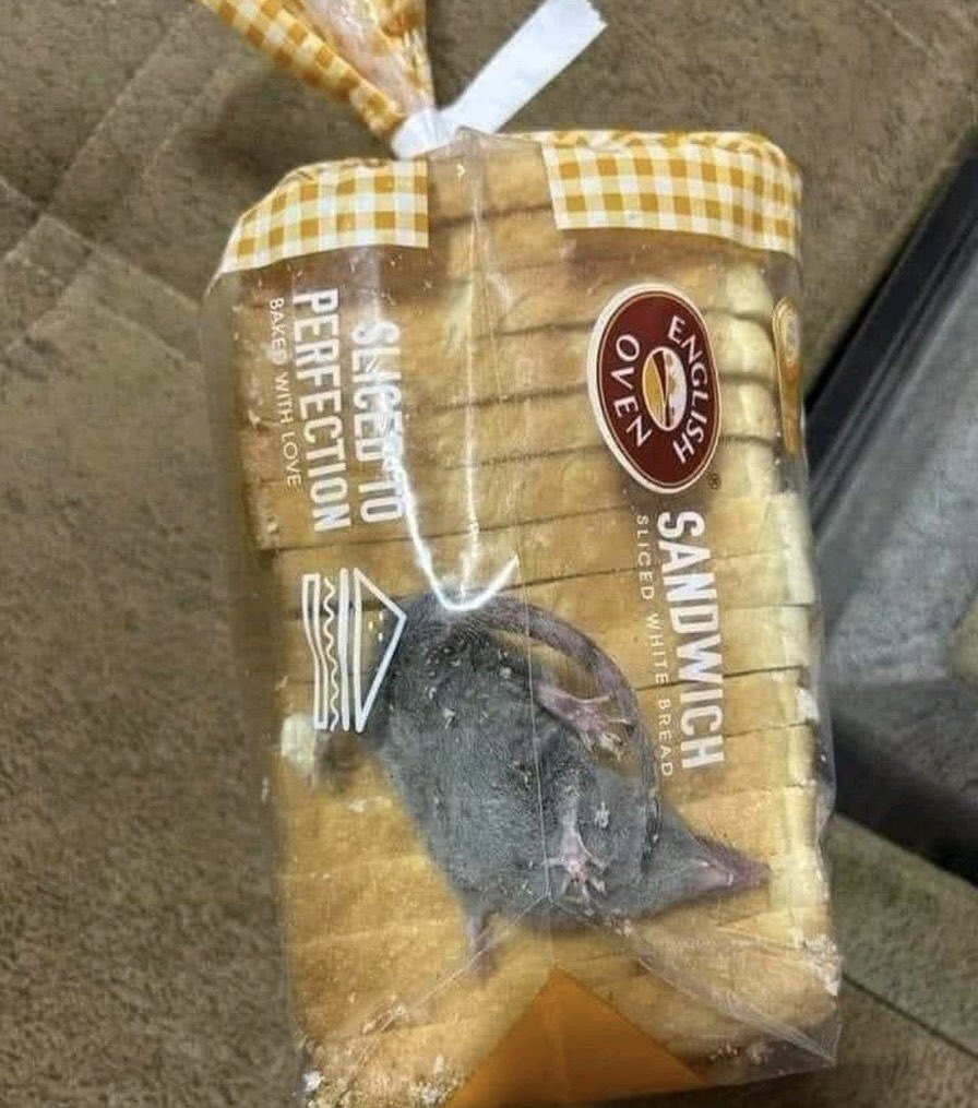 vaqu333's tweet photo. hola @Mercadona me ha tocado el juguete en el paquete de pan? que gano con esto? https://t.co/Lllzkgp1Zo