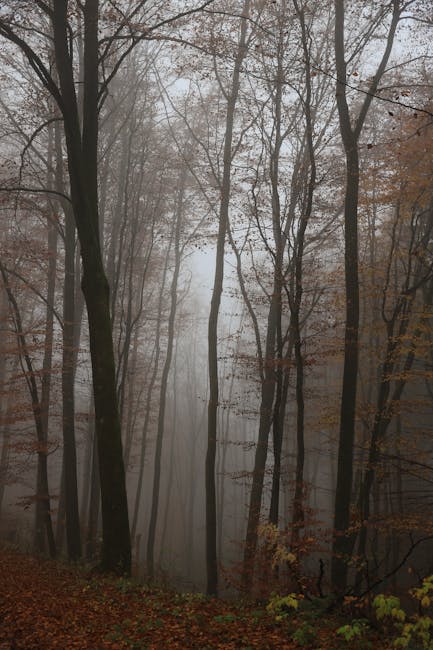 MurphiuWebstNXn's tweet photo. leave completely Let your body feeling refreshed while breathe again, rico balden🫐 https://t.co/oxHKqKuRle