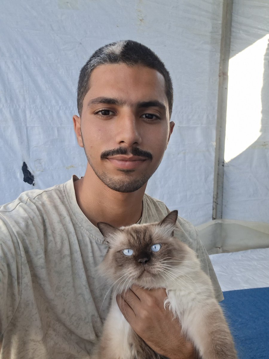 MustafaAmeen30's tweet photo. My cats and i are still alive in Gaza.🇵🇸

If you see this photo, please don't scroll past in silence.

Write anything - even a single dot means so much to us and reminds us that we are not alone.🥹💔🙏 https://t.co/9uf1Om1g8J