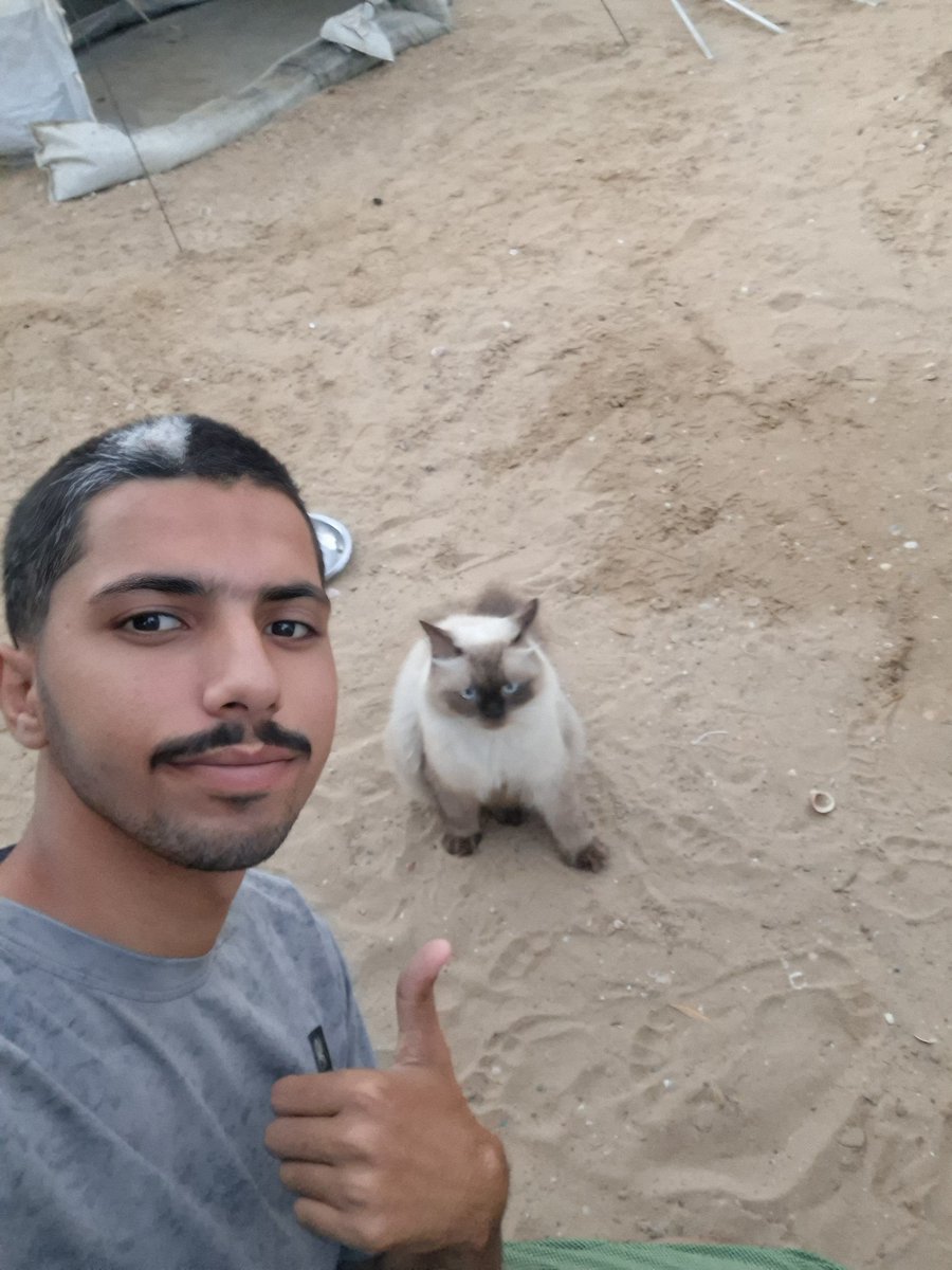 MustafaAmeen30's tweet photo. My cats and i are still alive in Gaza.🇵🇸

If you see this photo, please don't scroll past in silence.

Write anything - even a single dot means so much to us and reminds us that we are not alone.🥹💔🙏 https://t.co/9uf1Om1g8J