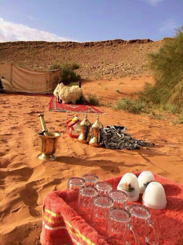 tfraahw's tweet photo. ☕✨ أجمل الأوقات قد تكون تلك التي نقضيها في هدوء، مع كوبٍ من الشاي، ونسمةٍ لطيفة، وأفكارٍ مرتبة بعيدًا عن صخب العالم. 🌷 https://t.co/TSjZoniy0x