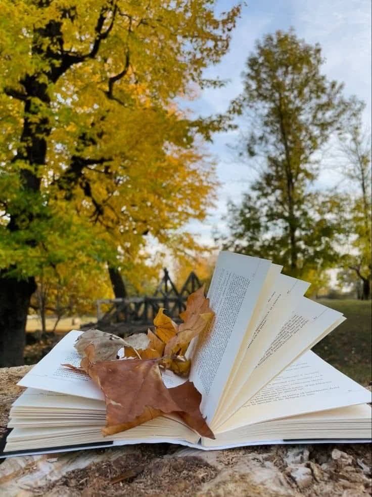 AhlamMostghanmi's tweet photo. . . . 🍁

في النهاية.. 
ما النسيان سوى قلب صفحة من كتاب العمر. قد يبدو الأمر سهلًا، لكن ما دُمتَ لا تستطيع اقتلاعها، ستظلّ تعثر عليها في كلّ فصل من فصول حياتك.

#أحلام_مستغانمي https://t.co/IAz3G81Z68
