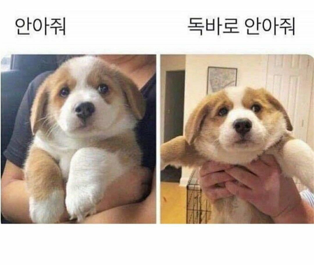 mymemeboxx's tweet photo. 누구생각남 https://t.co/ApxONHT11B