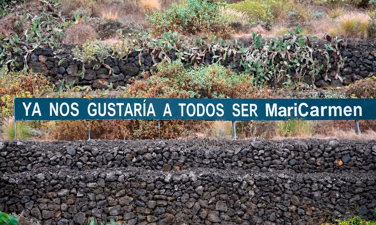 lex_atleti's tweet photo. @diariodeavisos Si? ¿Somos todos funcionarios y podemos vivir 70 años en el centro de la ciudad más cara de España pagando solo una cuarta parte de lo que pagan los demás de alquiler? Ya nos gustaría a todos ser MariCarmen https://t.co/rdmX4w9thk